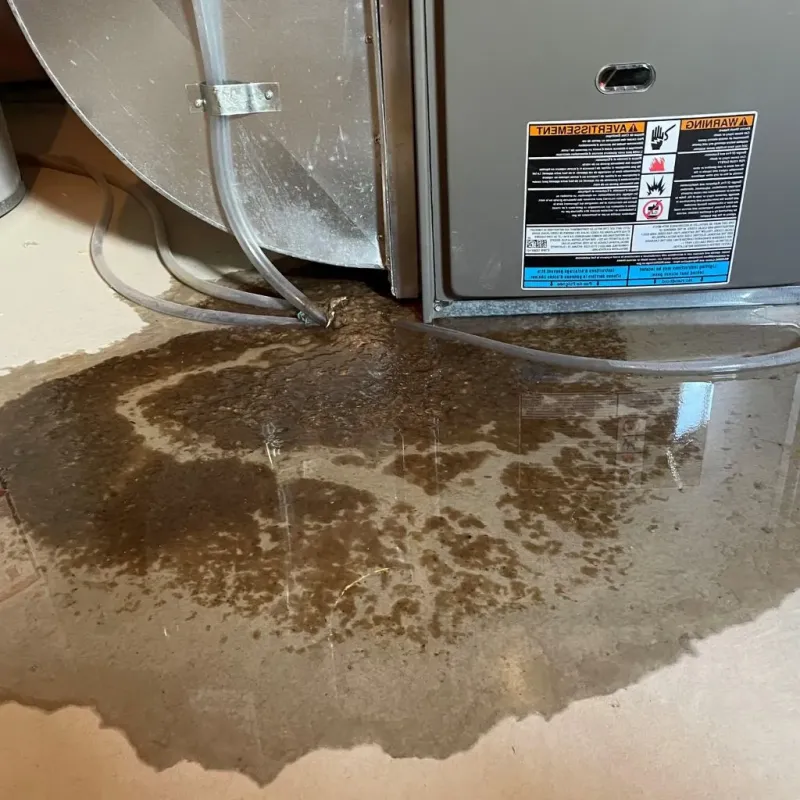 Pipe Burst and Leak Restoration in Walker, MI